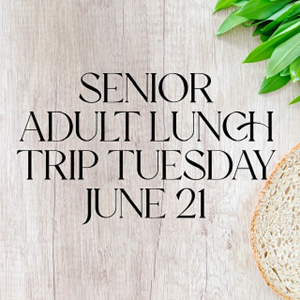 Senior Adult Lunch Trip